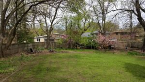 Backyard garden space with flowers and vegetables