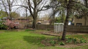 Backyard with playset and space for entertaining